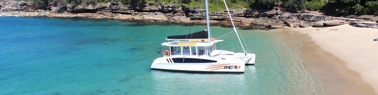 small catamaran hire sydney